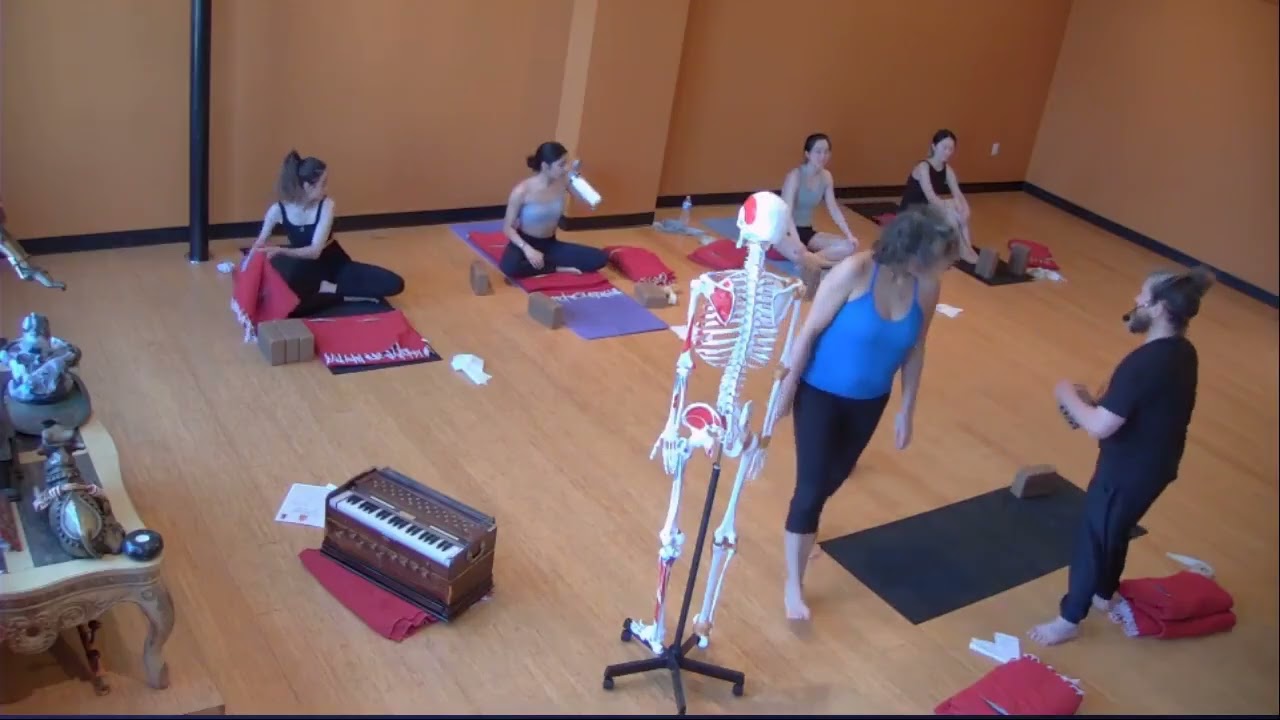 Urban Sadhu Yoga Fundamentals Week 2 Forward Folds and Twists