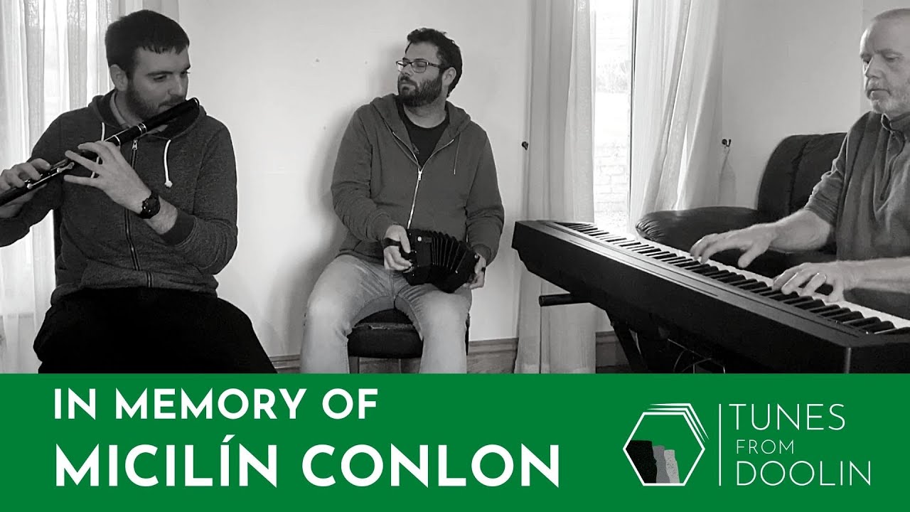 3 Reels 🎵☘️ | The Boys of Ballinahinch / The Plough and the Stars / The Sligo Maid