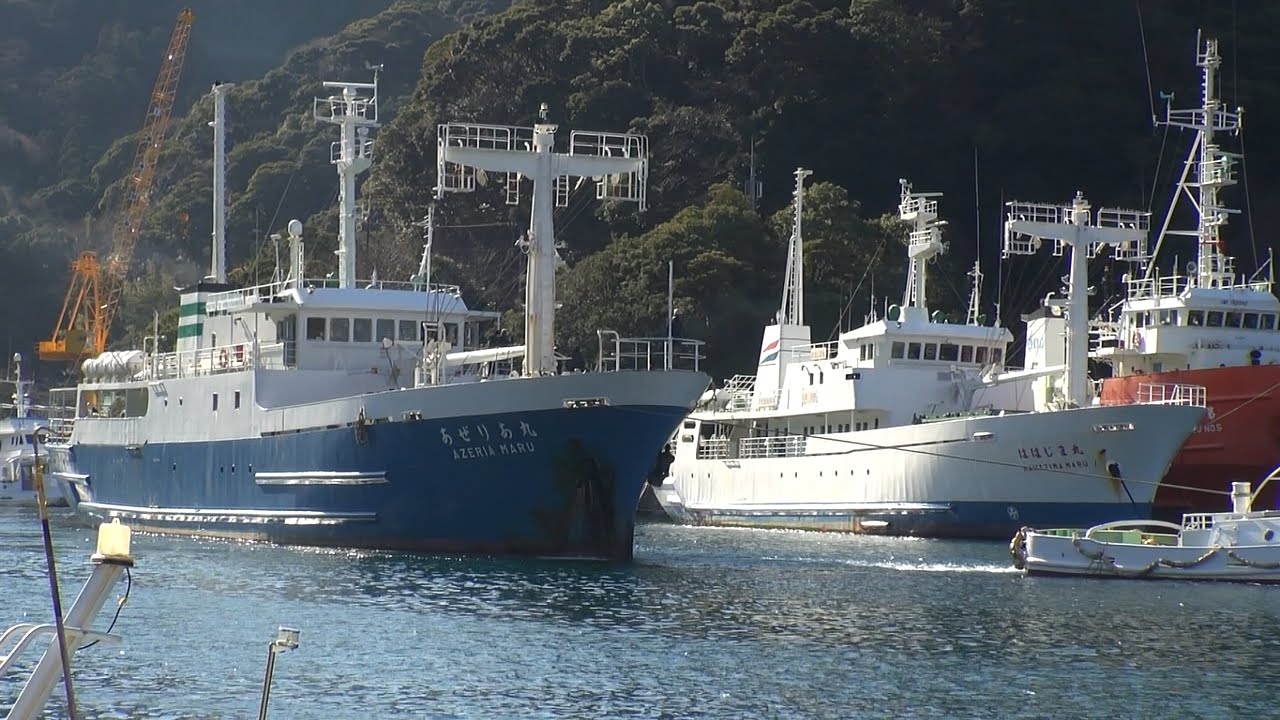 元・神新汽船 あぜりあ丸 安良里港・藤高造船からの沖出し ははじま丸との邂逅