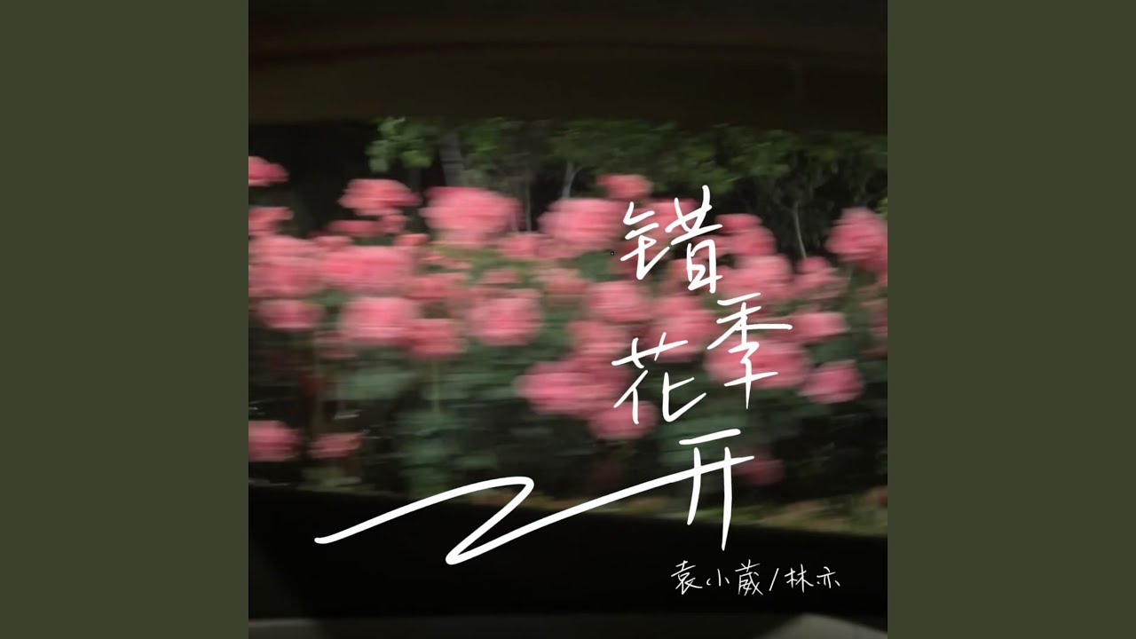 错季花开
