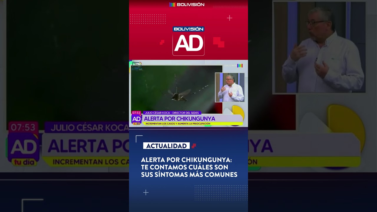 &iexcl;Alerta por chikungunya!