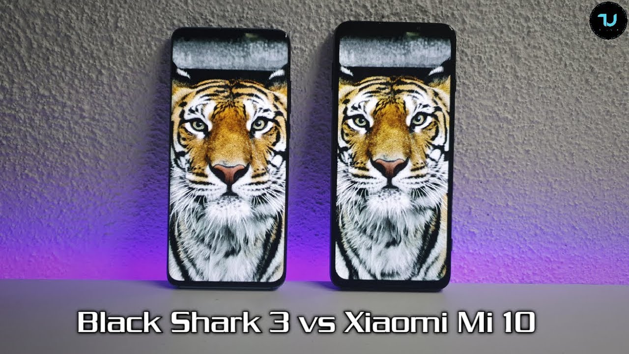 Black Shark 3 vs Xiaomi Mi 10 Camera comparison/Screen/Size/Sound Speakers/Xiaomi flagships 2020
