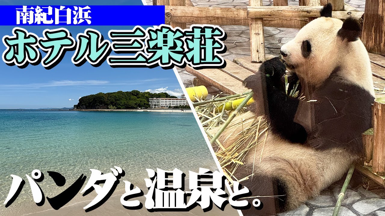 【南紀白浜 ホテル三楽荘】パンダと温泉と絶景と。最高の滞在となりましたが・・・ちとサミシイ。