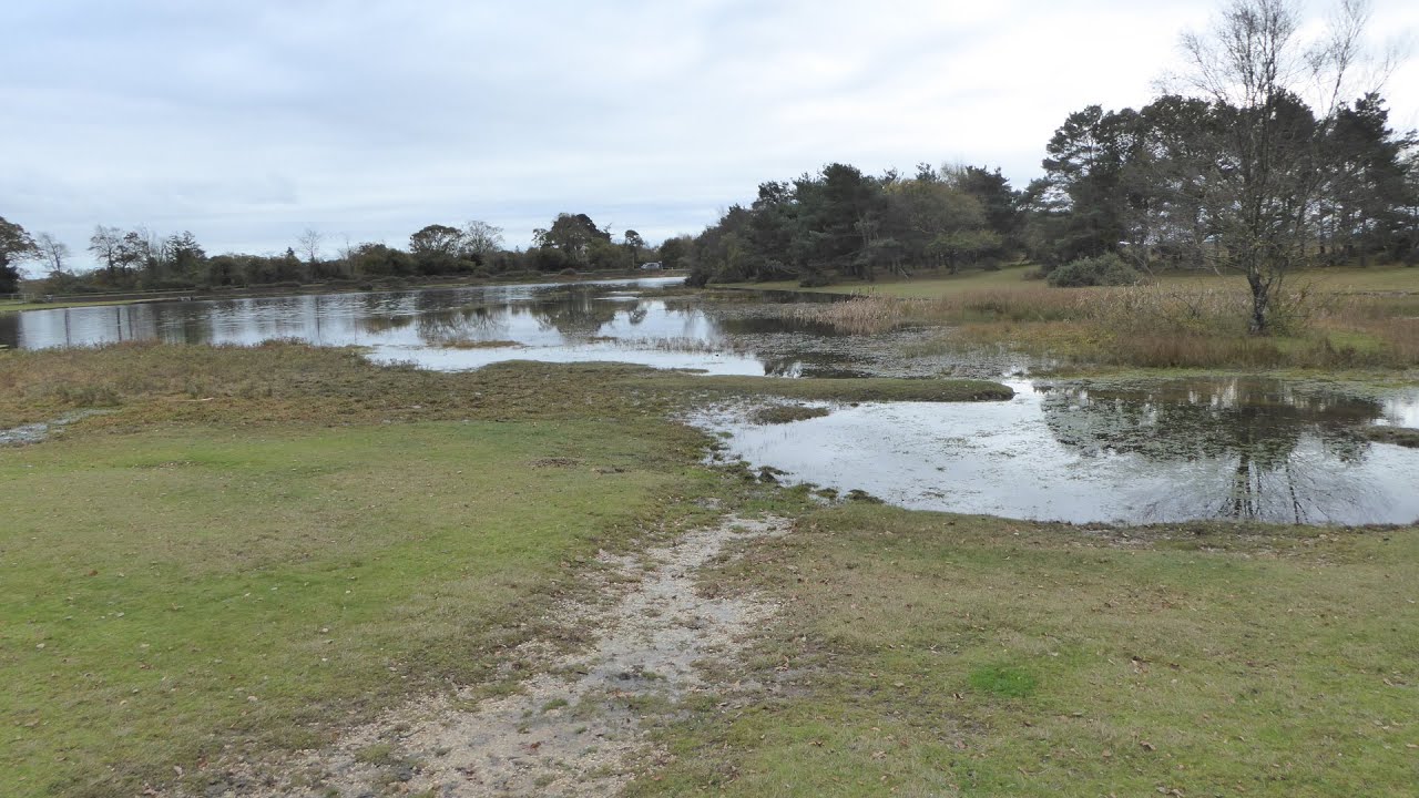 Hatchet Pond Moorland Walk Scenery - New Forest Hampshire Walks - Tour England Walking Holidays UK