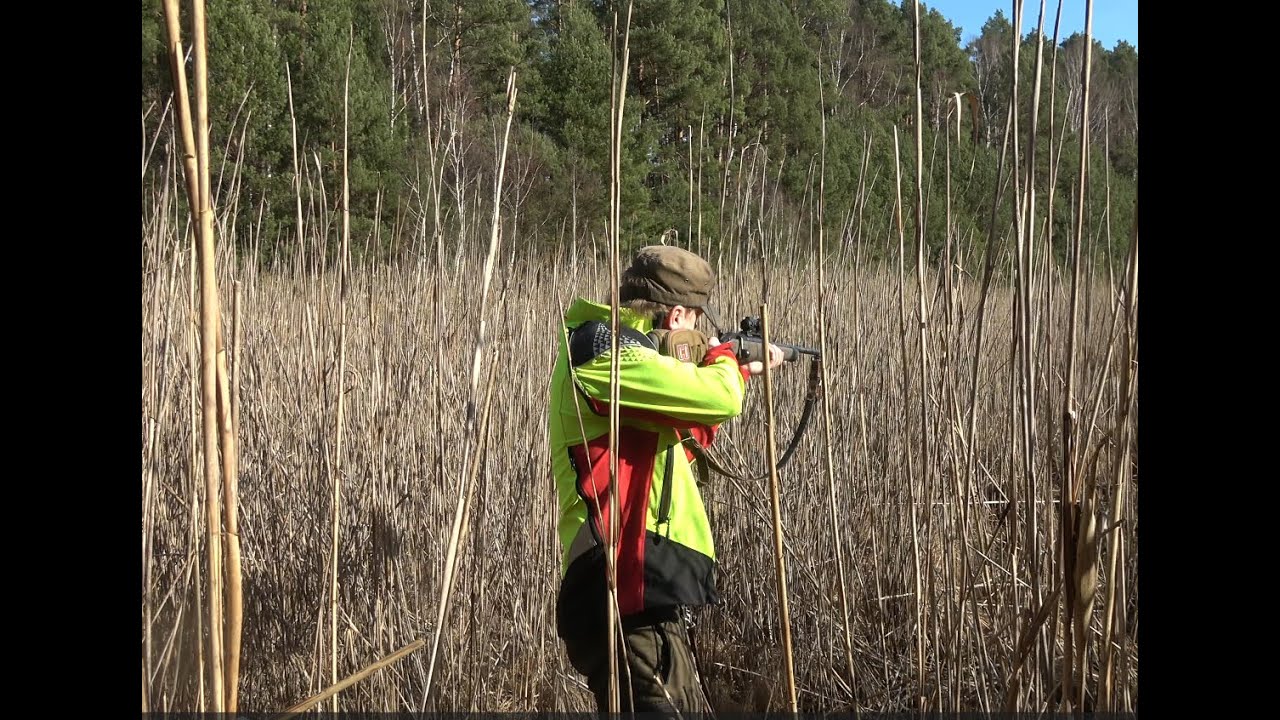 Wann ist der richtige Zeitpunkt zum Fangschuss?
