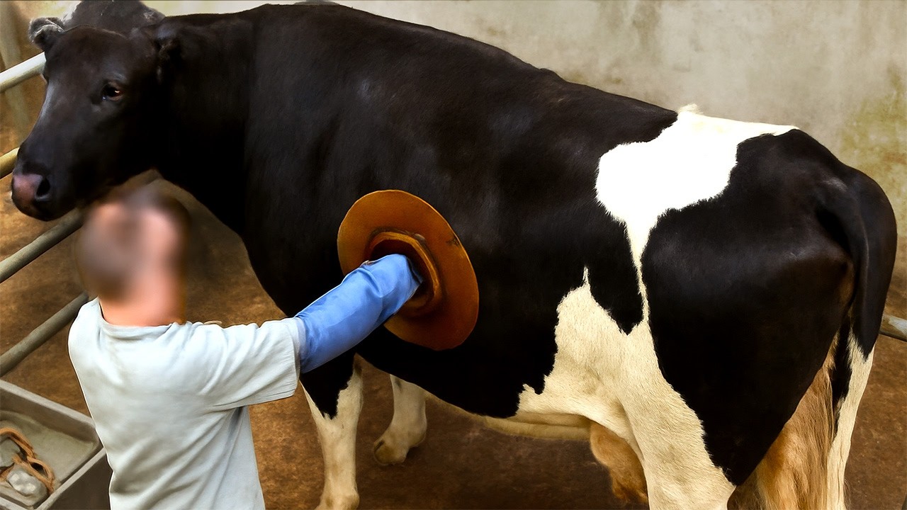 Secrets The Food Industry Doesn't Want You To Know