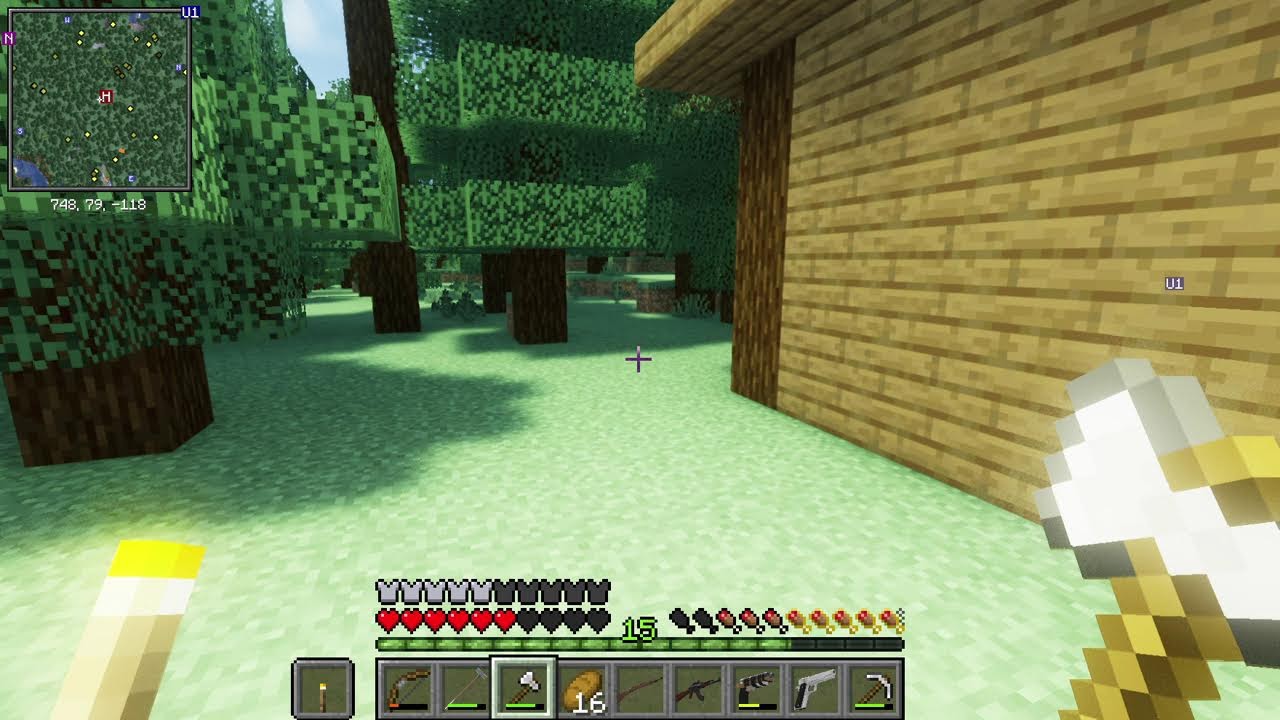 Playing Minecraft