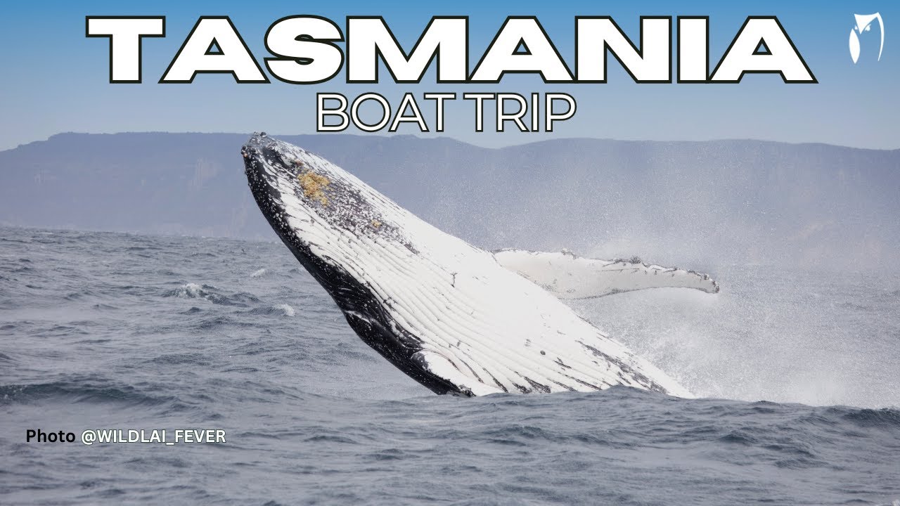 EAGLEHAWK NECK BOAT TRIP - TASMANIA