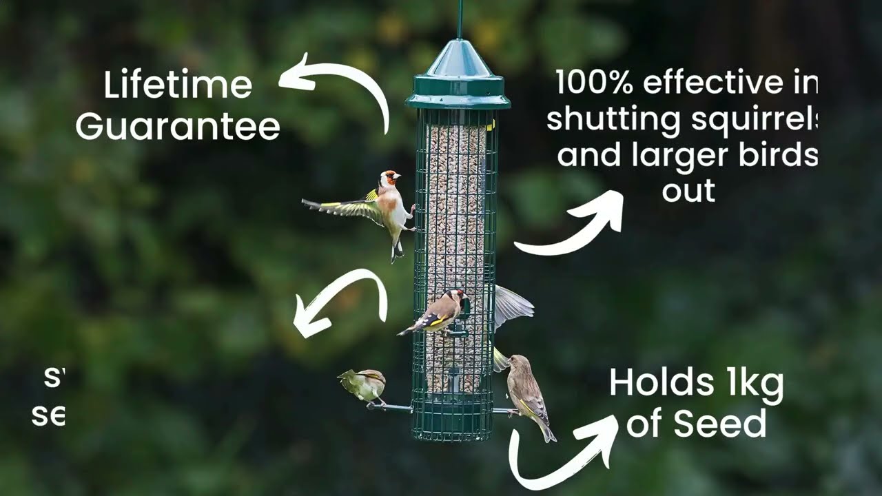Squirrel buster classic Squirrel buster assembly