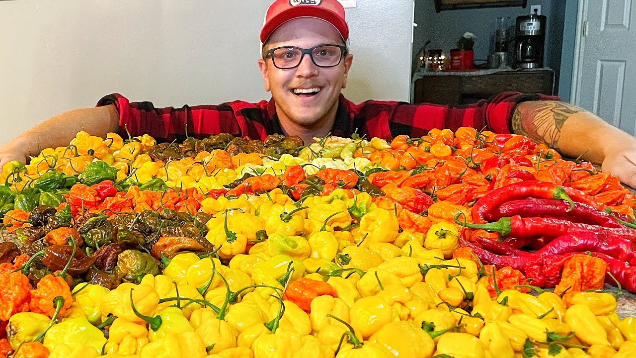 Huge Pepper Harvest: Are Any Of These Peppers New To YOU?