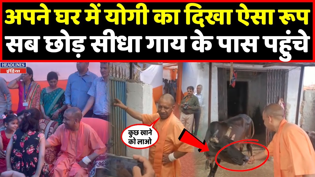 Cm Yogi सब कुछ छोड़ जब सीधा गाय के पास जा पहुंचे । Headlines India
