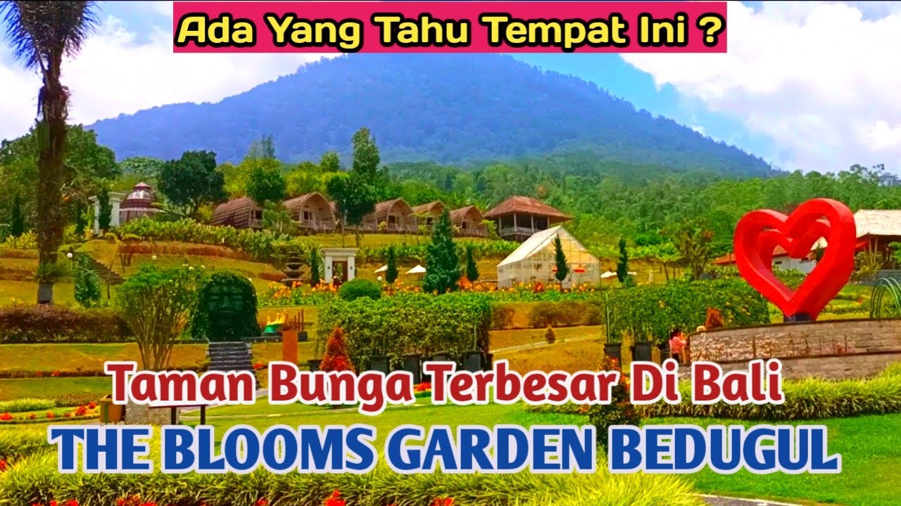 Taman Bunga Terbesar di Bali || The Blooms Garden Bedugul, Ada yang Pernah kesini?
