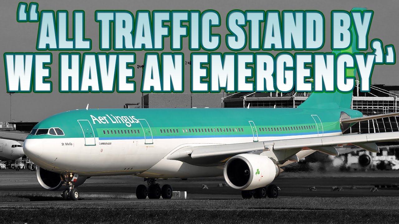 Самолет Aer Lingus A330 отказался взлетать из-за попадания в двигатель птицы при вылете из Дублин...