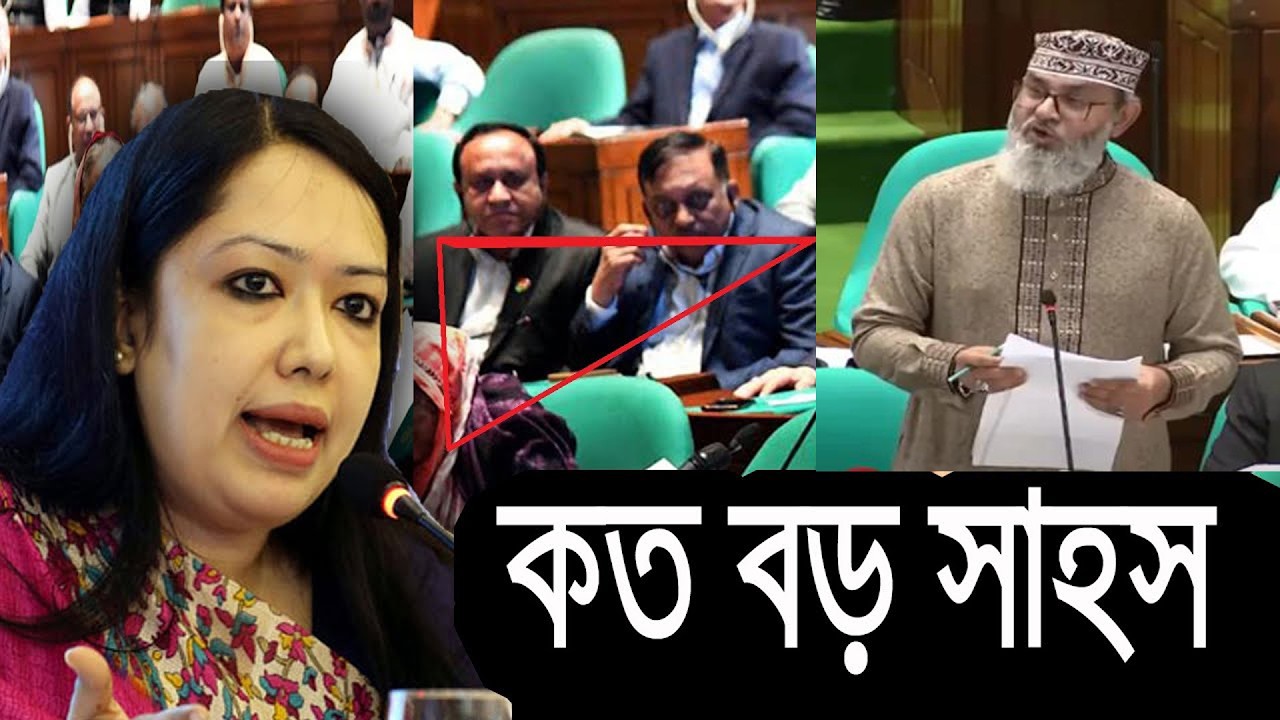 এইমাত্র,সংসদে দাড়িয়ে যেভাবে চ্যালেঞ্জ করলেন সাঈদী পুএ মাসুদ সাঈদী  ?? অবাক হয়ে শুনলেন রুমিন ফারহানা
