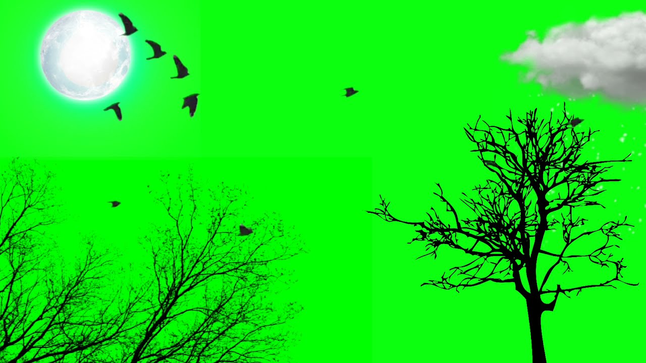 nature green screen background || nature green screen effects || nature green screen video