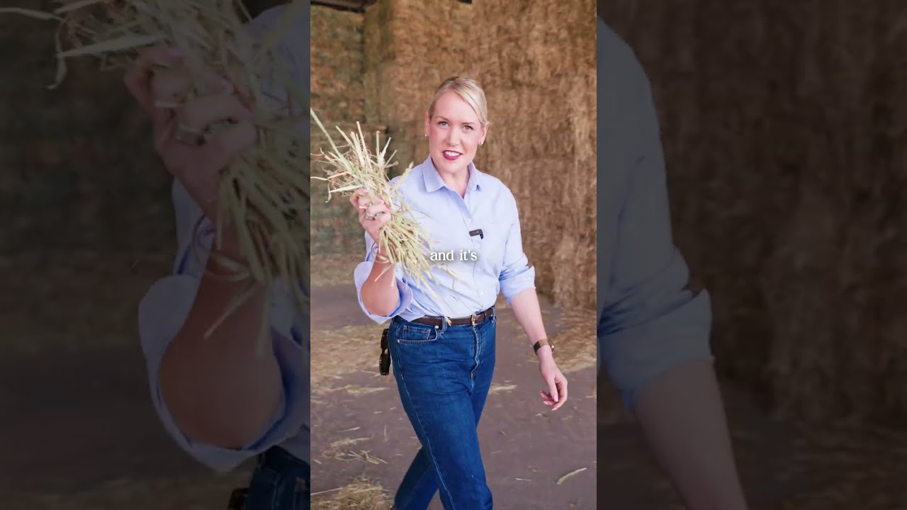 This reminds me of growing up on the farm.