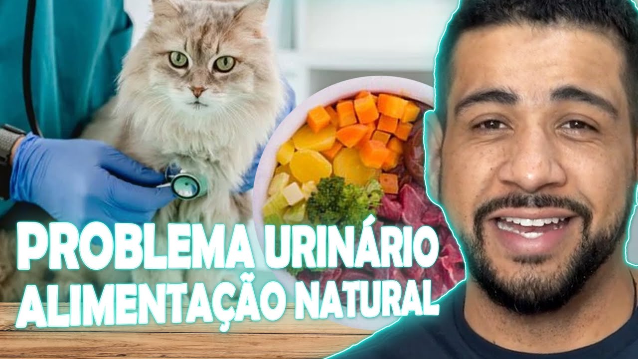 ALIMENTAÇÃO NATURAL X PROBLEMAS URINÁRIOS EM GATOS
