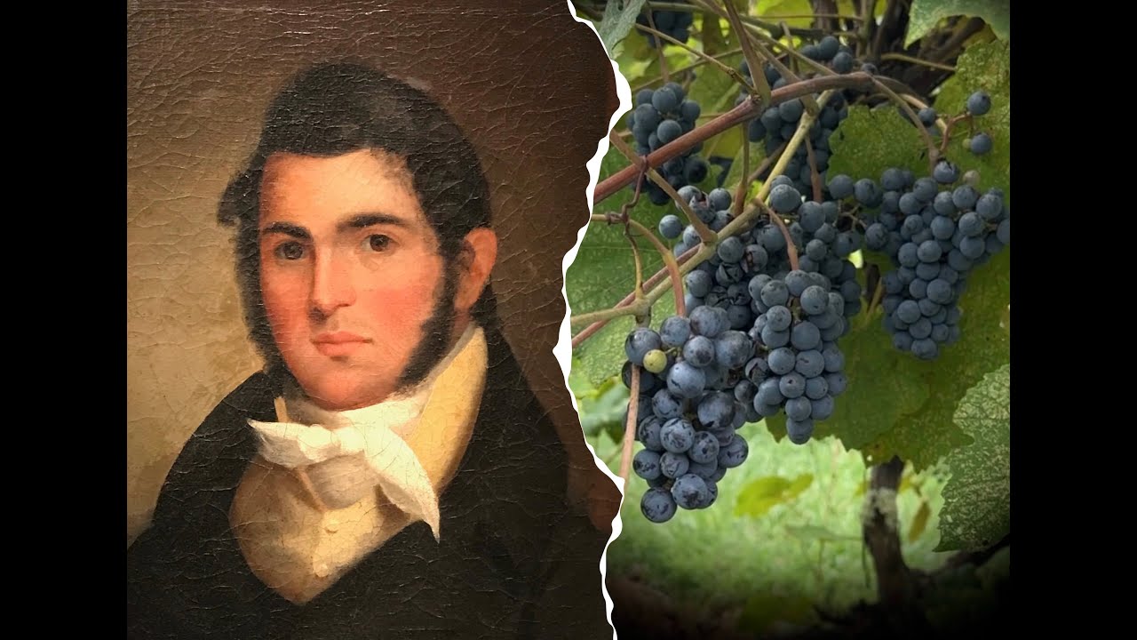 Norton: The Grape That Changed Everything | Documentary