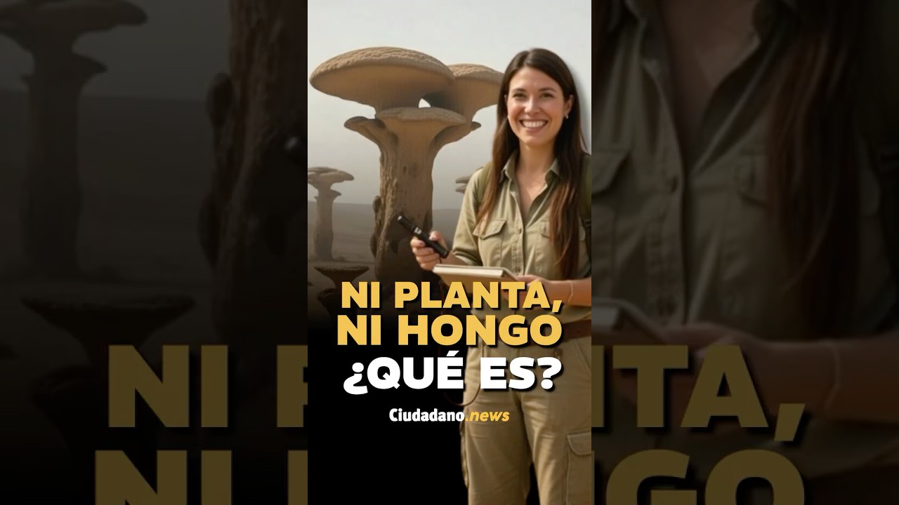 MISTERIO DE LA EVOLUCION: Los Gigantes de 8 Metros que la ciencia no pudo explicar HASTA HOY