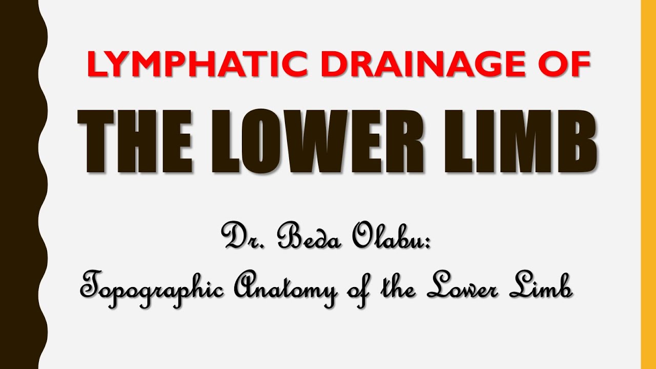LYMPHATIC DRAINAGE OF THE LOWER LIMB