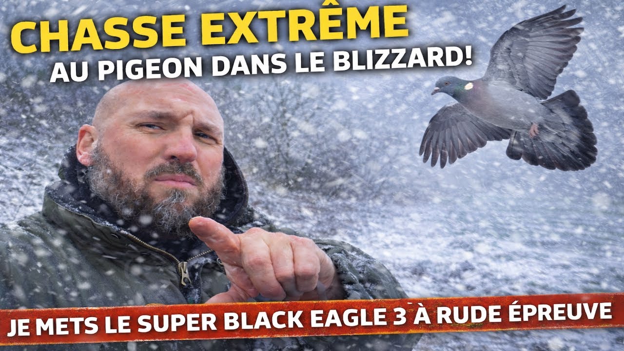 Chasse extreme au pigeon ramier dans le blizzard