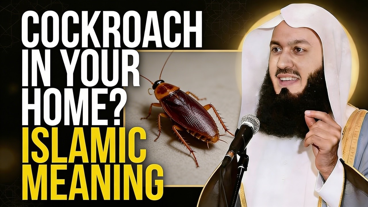When Allah Lets a Cockroach Into Your Home | There’s a Lesson and Message in It | Mufti Menk