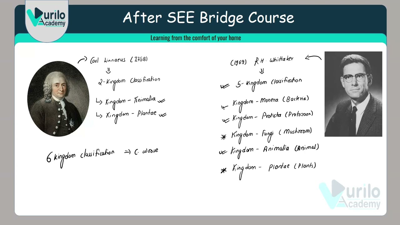 (Zoology) Classification of Animals (PART 1) ~ After SEE Bridge Course 2082