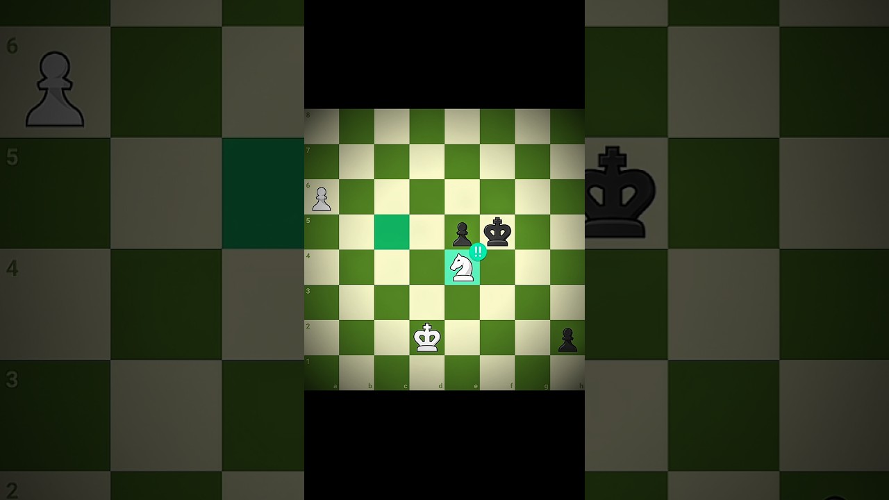 Brilliant Knight Sacrifice 💀🤫