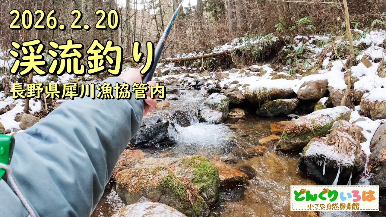 渓流釣り 2026.2.20【長野県犀川漁協管内】