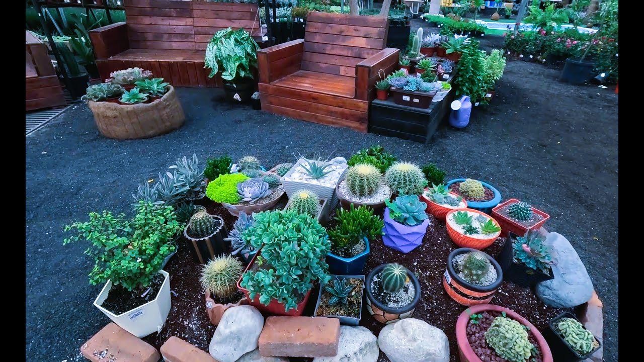 Hermoso vivero mexicano cap. 2 | Viveros El Olmo en Xalapa, Veracruz