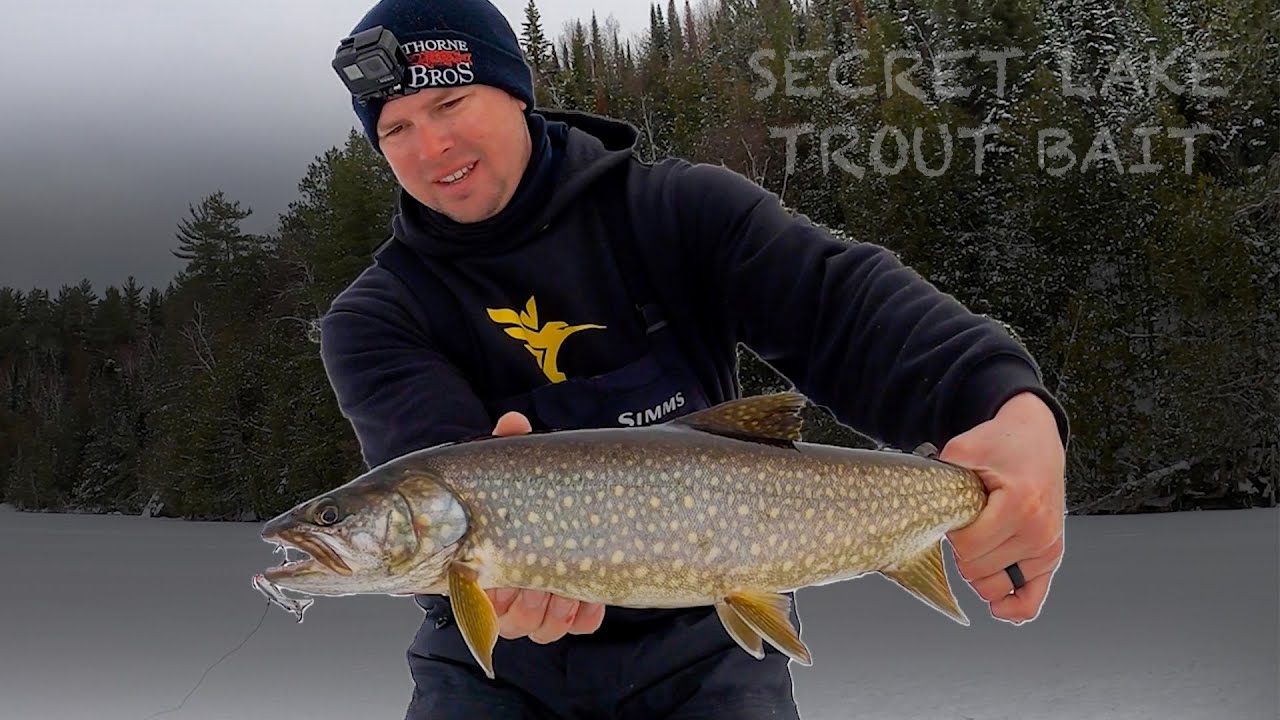 LAKE TROUT ON ICE *TIPS AND TRICKS*