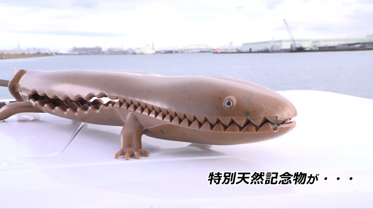 【第一精工】オオサンショウウオやん！グリップ