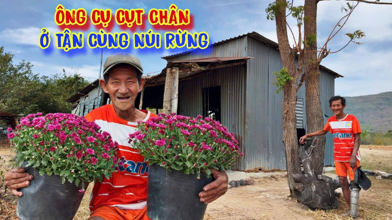 ÔNG CỤ cụt chân, sống neo đơn ở rừng, bữa đói BỮA NO - tập 1657