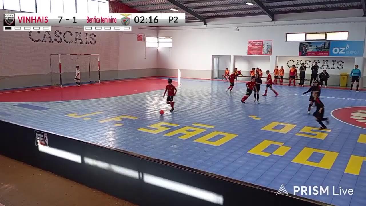 Transmissão ao vivo de Fabio Freitas