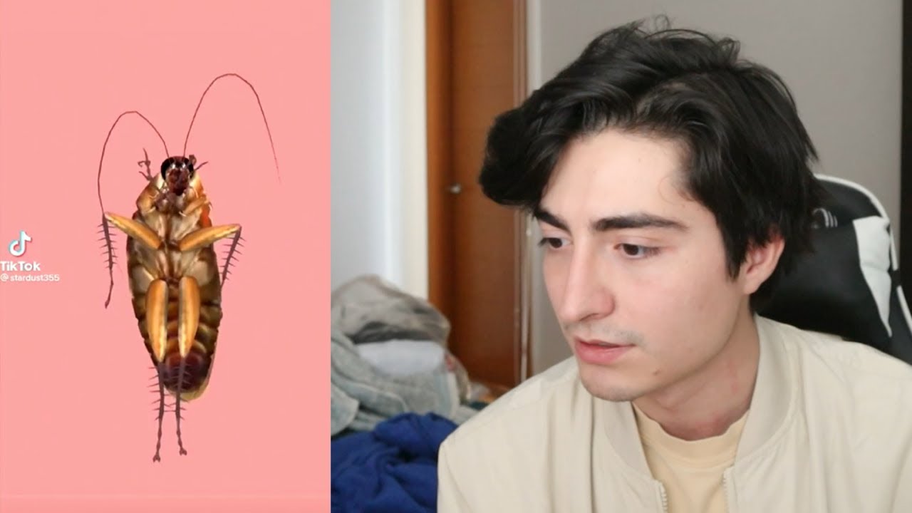 Este Video No Tiene Tema