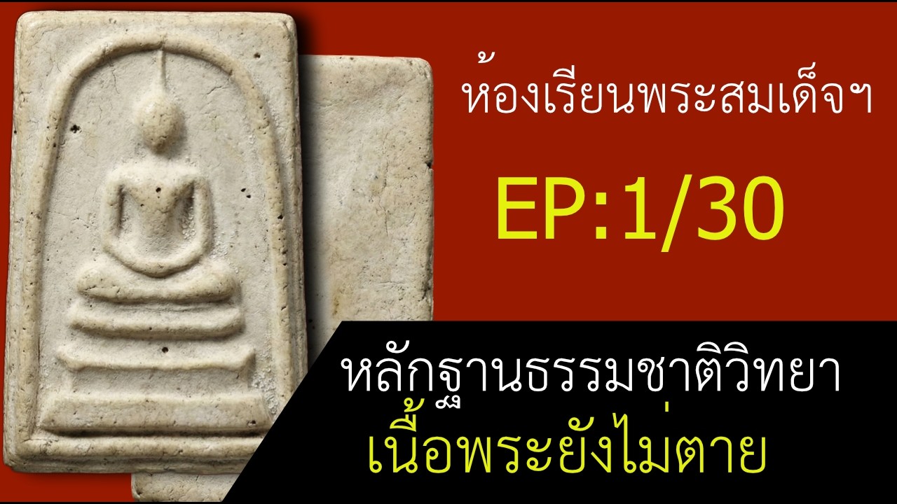 พระสมเด็จวัดระฆัง ไม่ได้หยุดอยู่ที่ความศักดิ์สิทธิ์ | เปิดมุมมอง “วัสดุที่มีชีวิต” ด้วยวิทยาศาสตร์