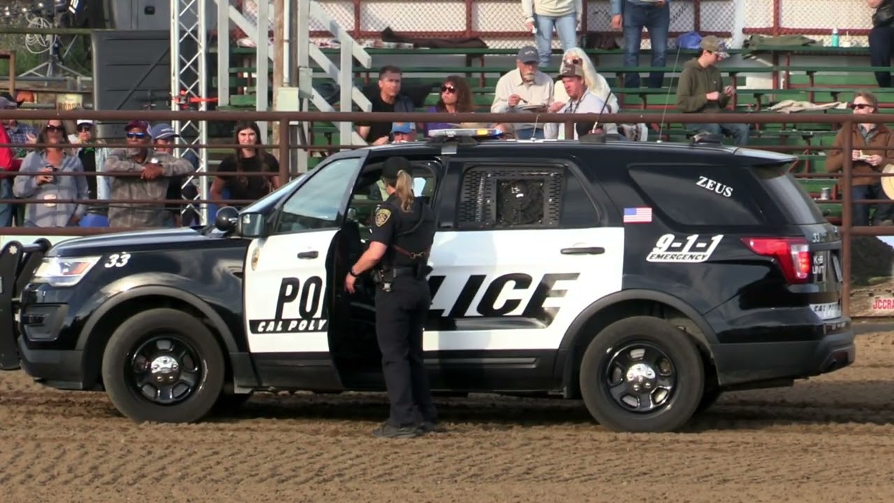 2025 Poly Royal &ndash; K9 Officer Zeus Demo