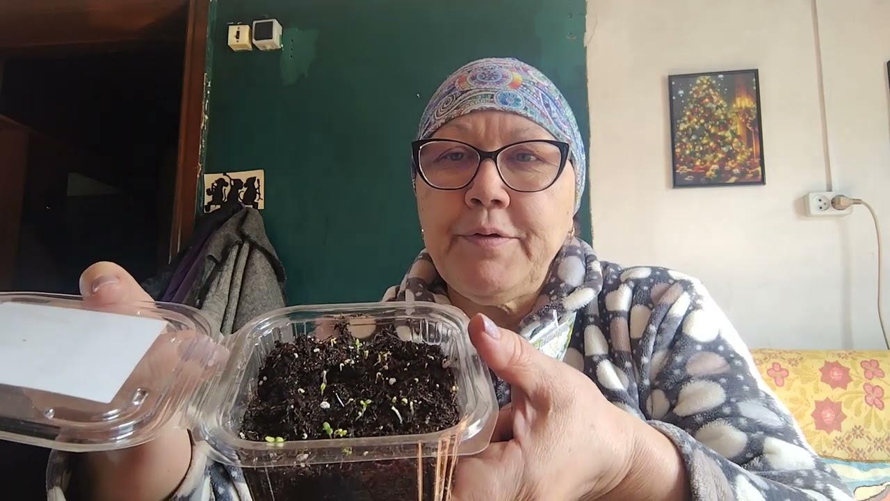 Разговорное видео. Жизнь в деревне. 🏡