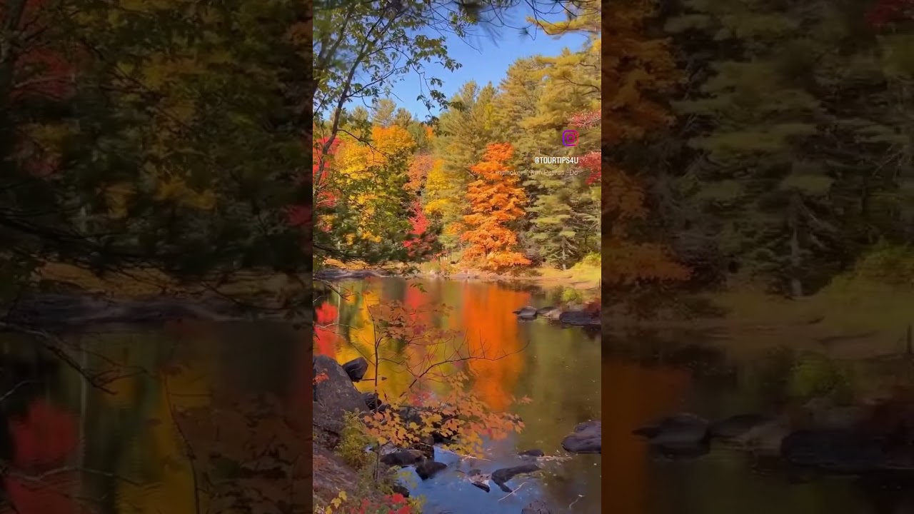 Ontario&rsquo;s Fall Magic: 10 Must-Visit Spots for Fall Colors | Canada 🇨🇦 #travel #autumn #fall