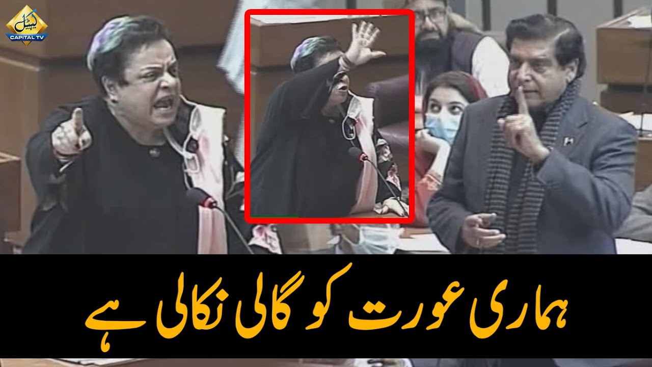 ہماری عورت کو گالی نکالی ہے، شیریں مزاری بمقابلہ راجہ پرویز اشرف اسمبلی میں شدید گرما گرمی