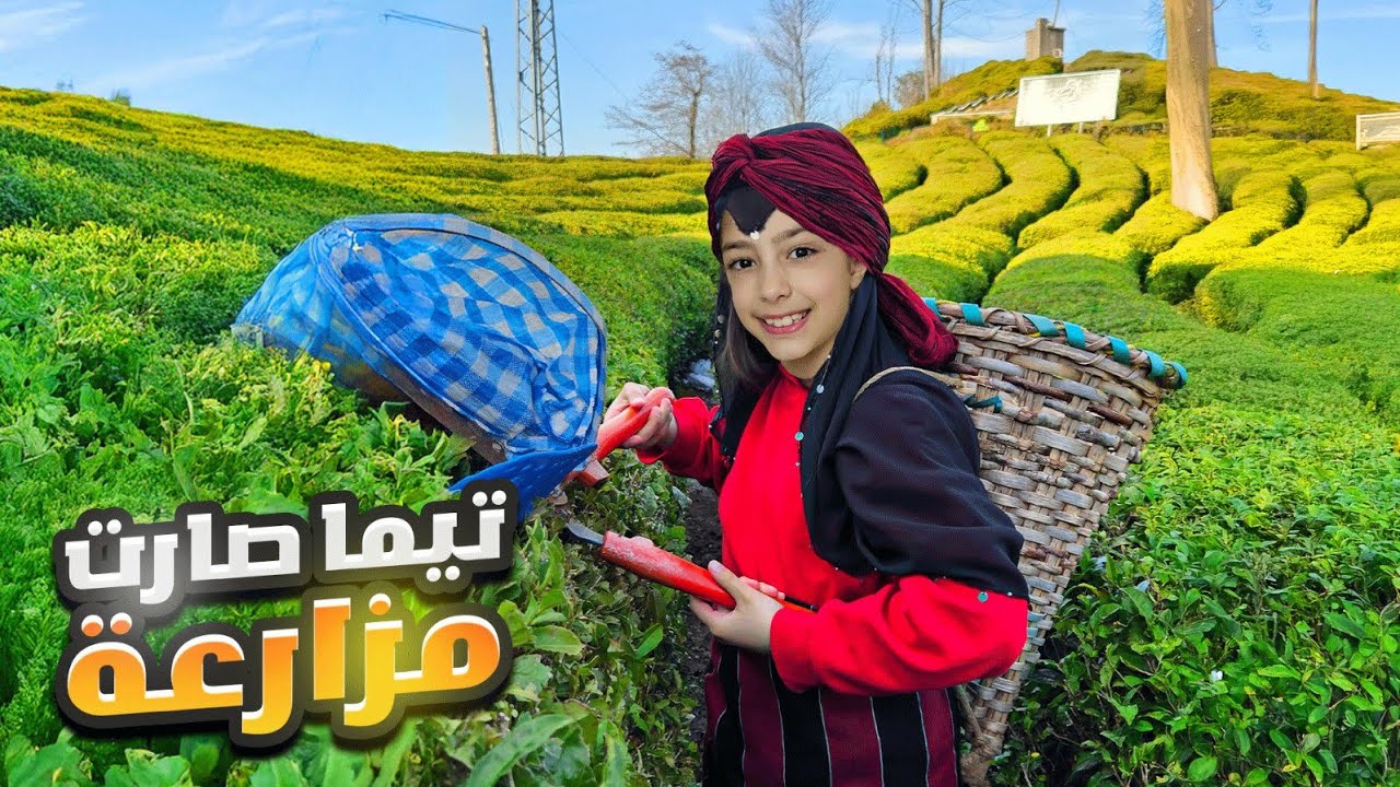 تيما صارت مزارعة 👩🏻‍🌾 ضاع رضا بأكبر حديقة شاي 😭