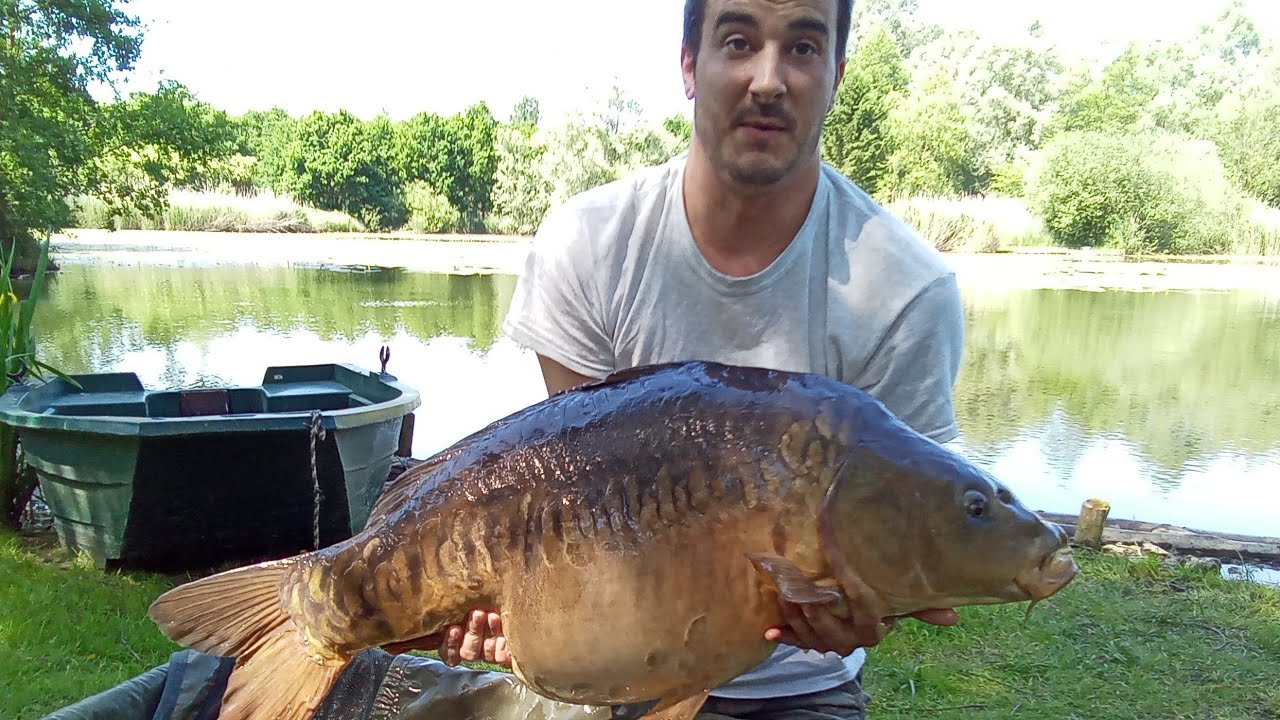 French Carp Fishing Adventure 2023