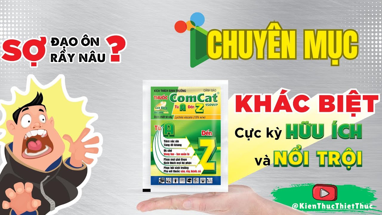 📽 CHUYÊN MỤC: Comcat Lúa Vàng - Khác Biệt Cực Kỳ Hữu Ích và Nổi Trội