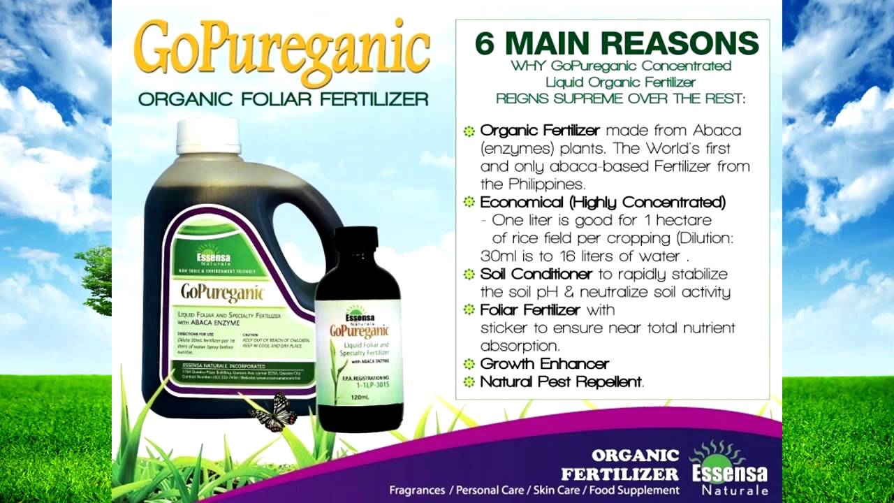 Essensa Naturale Team Payaman Business Presentation