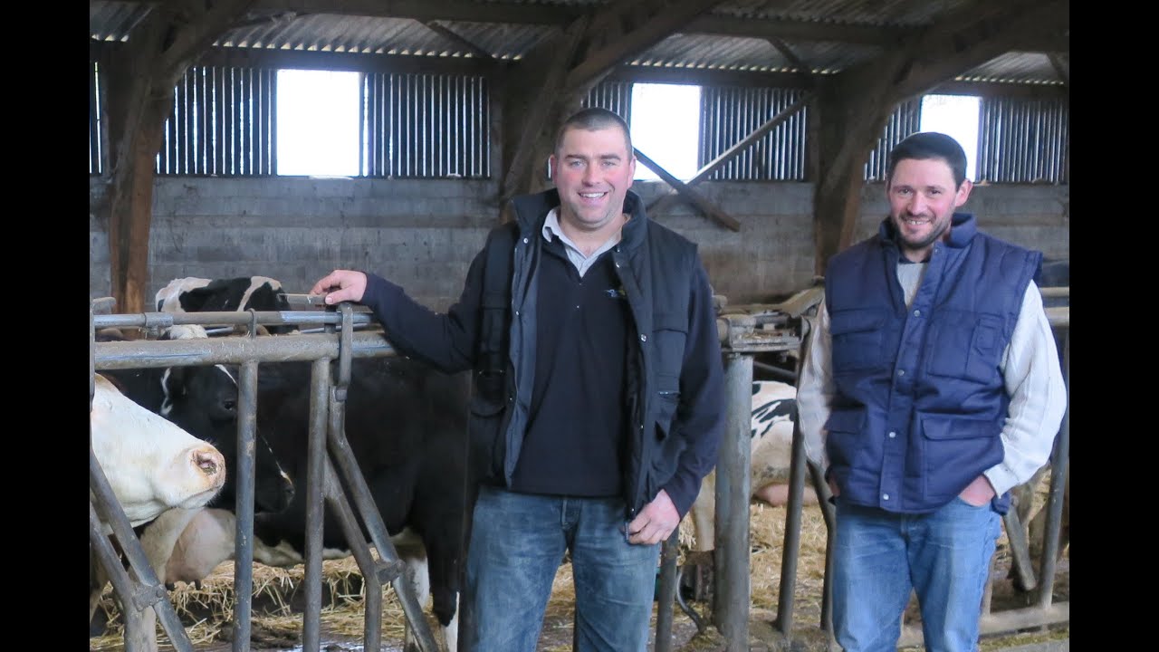 « Que du positif ». Portraits d’éleveurs en conversion à l’AB. Aveyron