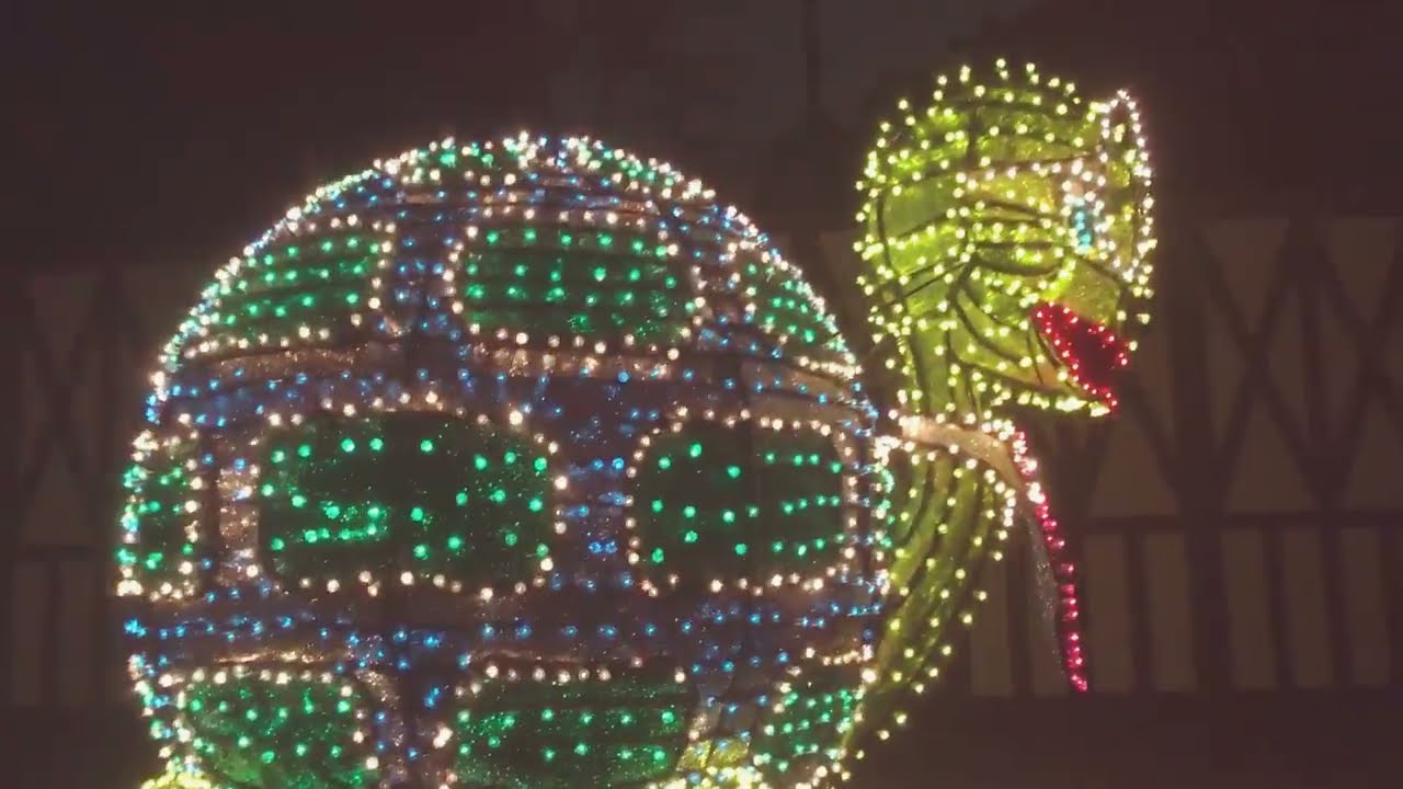 Disneyland Main Street Electrical Parade - 2017