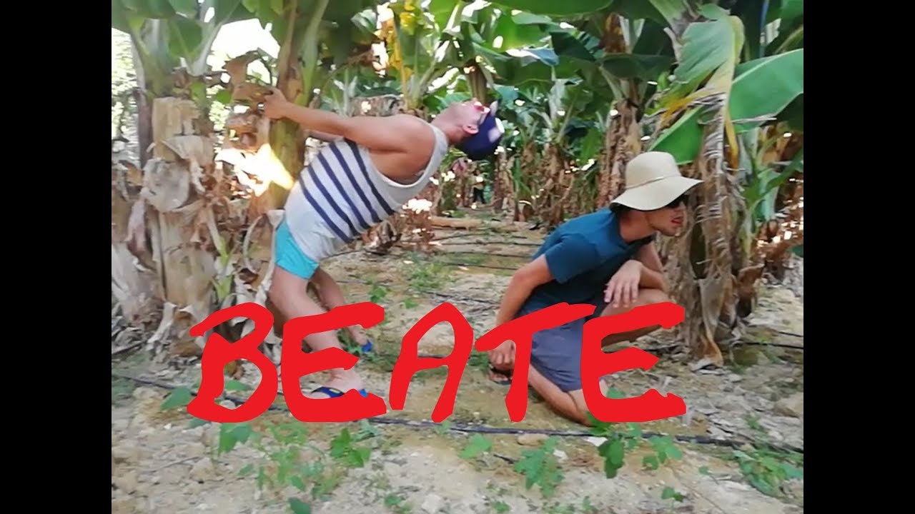 Herrlich & Van Gogg - Beate