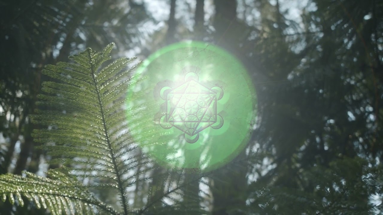 SONG OF THE FOREST - #99hz - Uncovering the Mystery Behind Sacred Geometry Music!