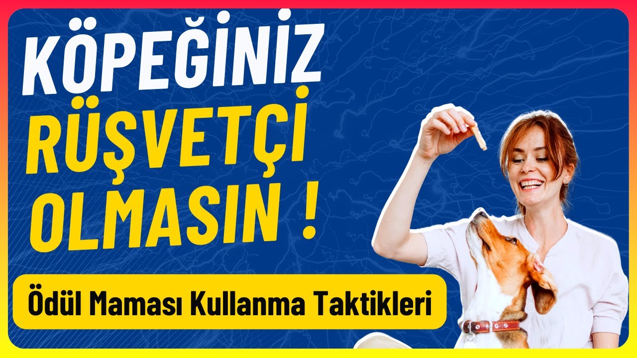 Köpeğiniz Rüşvetçi Olmasın ! | Köpek Eğitimi