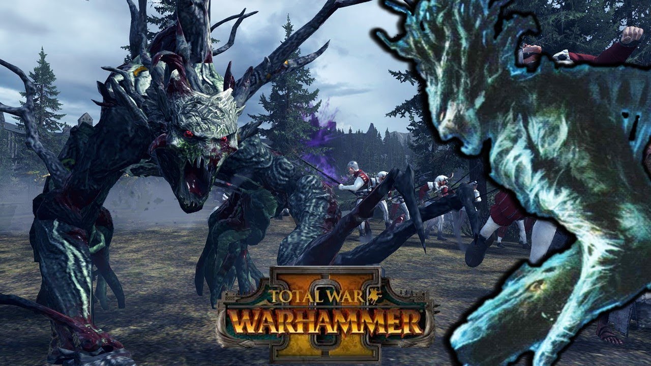 Drycha vs. Elspeth von Draken - Total War Warhammer Multiplayer Gameplay